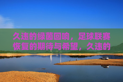 久违的绿茵回响,足球联赛恢复的期待与希望,久违的绿茵回响,足球联赛恢复的期待与希望