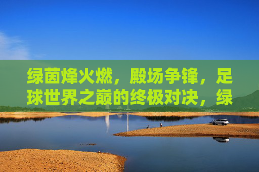 绿茵烽火燃，殿场争锋，足球世界之巅的终极对决，绿茵烽火燃，殿场争锋，足球世界之巅的终极对决