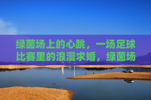 绿茵场上的心跳，一场足球比赛里的浪漫求婚，绿茵场上的心跳，一场足球比赛里的浪漫求婚
