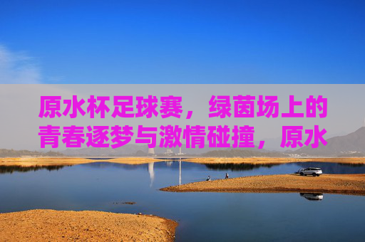 原水杯足球赛，绿茵场上的青春逐梦与激情碰撞，原水杯足球赛，绿茵场上的青春逐梦与激情碰撞