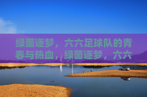 绿茵逐梦,六六足球队的青春与热血,绿茵逐梦,六六足球队的青春与热血