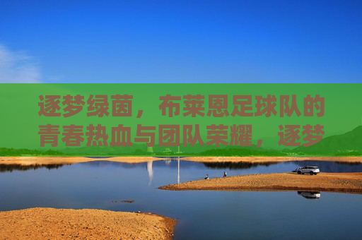 逐梦绿茵，布莱恩足球队的青春热血与团队荣耀，逐梦绿茵，布莱恩足球队的青春热血与团队荣耀