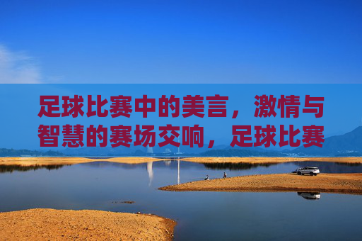 足球比赛中的美言，激情与智慧的赛场交响，足球比赛中的美言，激情与智慧的赛场交响