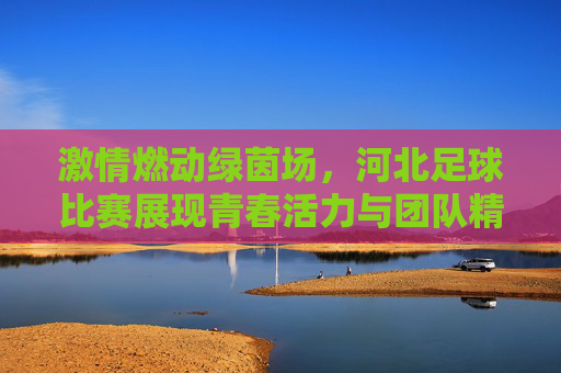 激情燃动绿茵场，河北足球比赛展现青春活力与团队精神，激情燃动绿茵场，河北足球比赛展现青春活力与团队精神