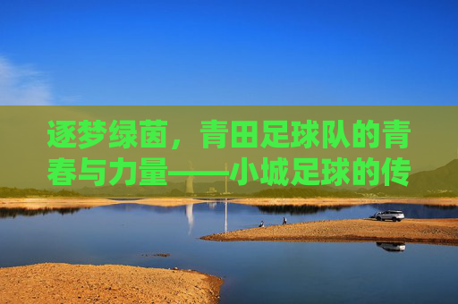 逐梦绿茵，青田足球队的青春与力量——小城足球的传承与绽放，逐梦绿茵，青田足球队的青春与力量——小城足球的传承与绽放
