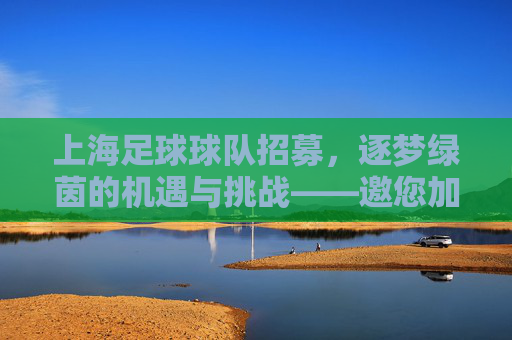 上海足球球队招募,逐梦绿茵的机遇与挑战——邀您加入城市足坛新篇章,上海足球球队招募,逐梦绿茵的机遇与挑战——邀您共谱城市足坛新篇章