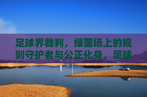 足球界裁判，绿茵场上的规则守护者与公正化身，足球界裁判，绿茵场上的规则守护者与公正化身