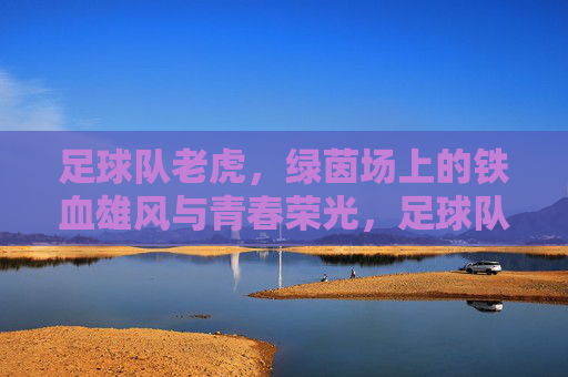 足球队老虎,绿茵场上的铁血雄风与青春荣光,足球队老虎,绿茵场上的铁血雄风与青春荣光