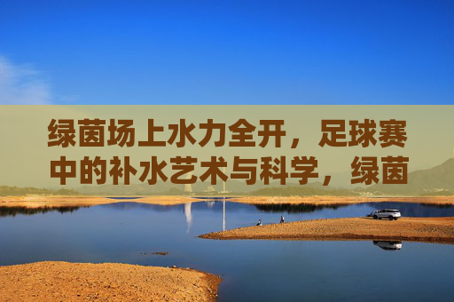 绿茵场上水力全开，足球赛中的补水艺术与科学，绿茵场上水力全开，足球赛中的补水艺术与科学