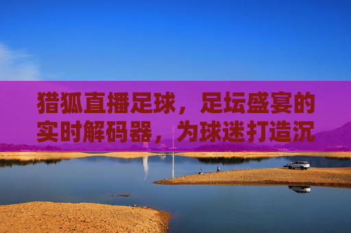 猎狐直播足球，足坛盛宴的实时解码器，为球迷打造沉浸式观赛新体验，猎狐直播足球，足坛盛宴的实时解码器，为球迷打造沉浸式观赛新体验