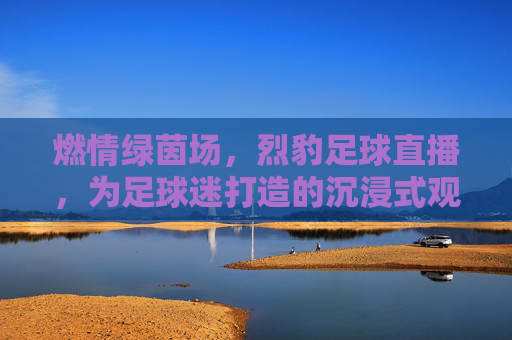 燃情绿茵场，烈豹足球直播，为足球迷打造的沉浸式观赛体验，燃情绿茵场，烈豹足球直播，为足球迷打造的沉浸式观赛体验