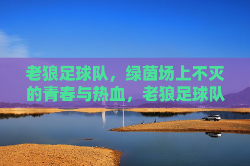 老狼足球队，绿茵场上不灭的青春与热血，老狼足球队，绿茵场上不灭的青春与热血