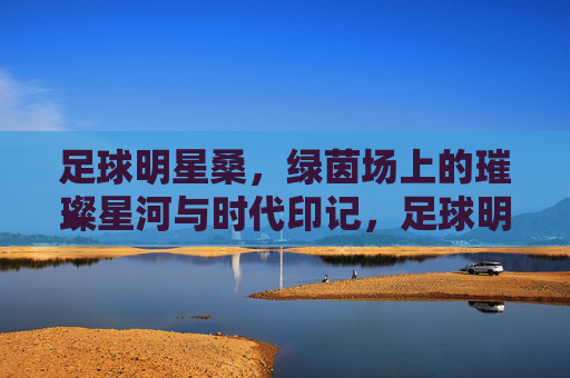 足球明星桑，绿茵场上的璀璨星河与时代印记，足球明星桑，绿茵场上的璀璨星河与时代印记