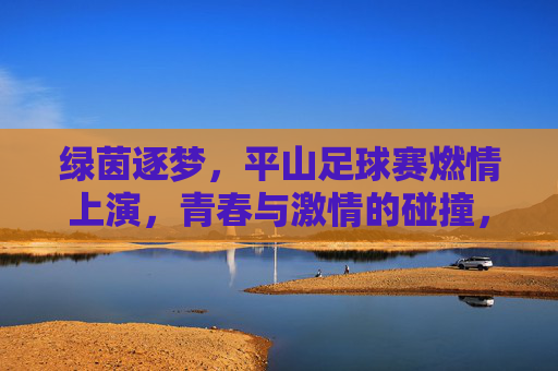 绿茵逐梦,平山足球赛燃情上演,青春与激情的碰撞,绿茵逐梦,平山足球赛燃情上演,青春与激情的碰撞