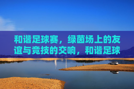 和谐足球赛，绿茵场上的友谊与竞技的交响，和谐足球赛，绿茵场上的友谊与竞技的交响