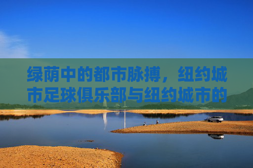 绿荫中的都市脉搏,纽约城市足球俱乐部与纽约城市的共生传奇,绿荫中的都市脉搏,纽约城市足球俱乐部与纽约城市的共生传奇