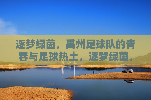 逐梦绿茵,禹州足球队的青春与足球热土,逐梦绿茵,禹州足球队的青春与足球热土