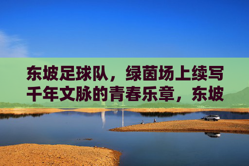 东坡足球队，绿茵场上续写千年文脉的青春乐章，东坡足球队，绿茵场上续写千年文脉的青春乐章