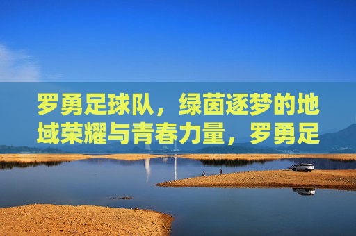 罗勇足球队，绿茵逐梦的地域荣耀与青春力量，罗勇足球队，绿茵逐梦的地域荣耀与青春力量