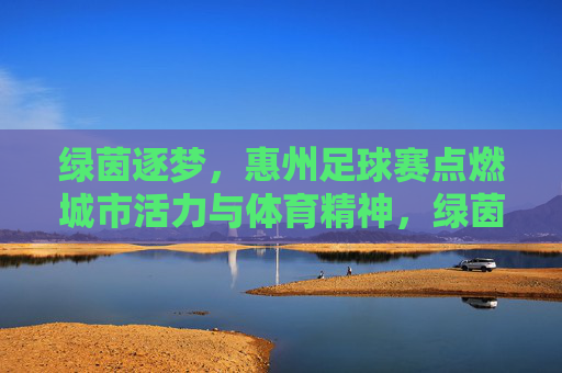 绿茵逐梦，惠州足球赛点燃城市活力与体育精神，绿茵逐梦，惠州足球赛点燃城市活力与体育精神
