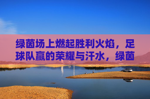 绿茵场上燃起胜利火焰，足球队赢的荣耀与汗水，绿茵场上燃胜利火焰，足球队赢荣耀与汗水