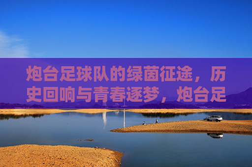 炮台足球队的绿茵征途，历史回响与青春逐梦，炮台足球队的绿茵征途，历史回响与青春逐梦