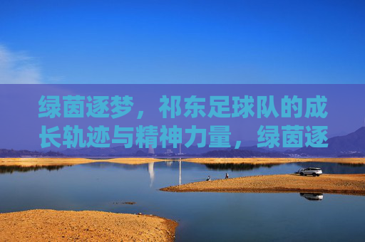 绿茵逐梦，祁东足球队的成长轨迹与精神力量，绿茵逐梦，祁东足球队的成长轨迹与精神力量
