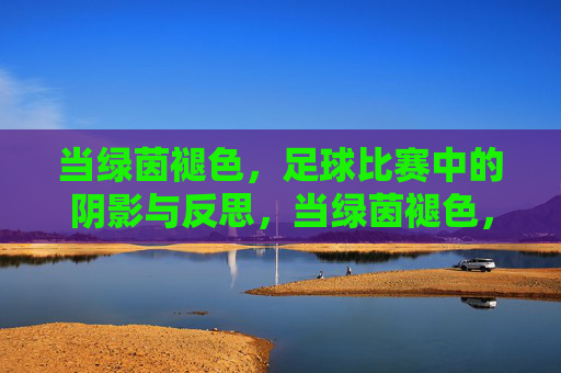 当绿茵褪色,足球比赛中的阴影与反思,当绿茵褪色,足球比赛中的阴影与反思