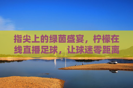 指尖上的绿茵盛宴，柠檬在线直播足球，让球迷零距离沉浸观赛，指尖上的绿茵盛宴，柠檬在线直播足球，让球迷零距离沉浸观赛