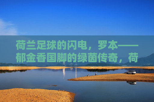荷兰足球的闪电，罗本——郁金香国脚的绿茵传奇，荷兰足球的闪电，罗本——郁金香国脚的绿茵传奇