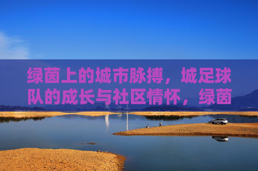 绿茵上的城市脉搏，城足球队的成长与社区情怀，绿茵上的城市脉搏，城足球队的成长与社区情怀