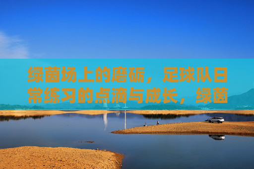 绿茵场上的磨砺，足球队日常练习的点滴与成长，绿茵场上的磨砺，足球队日常练习的点滴成长
