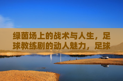 绿茵场上的战术与人生,足球教练剧的动人魅力,足球教练剧,战术与人生的交织,动人魅力的核心
