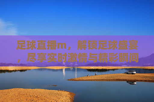 足球直播m,解锁足球盛宴,尽享实时激情与精彩瞬间
