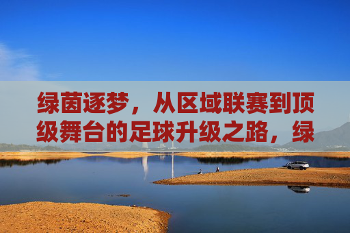 绿茵逐梦,从区域联赛到顶级舞台的足球升级之路,绿茵逐梦,从区域联赛到顶级舞台的足球升级之路