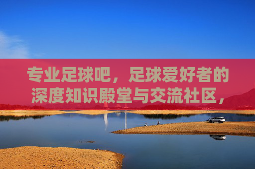 专业足球吧,足球爱好者的深度知识殿堂与交流社区,专业足球吧,足球爱好者的深度知识殿堂与交流社区
