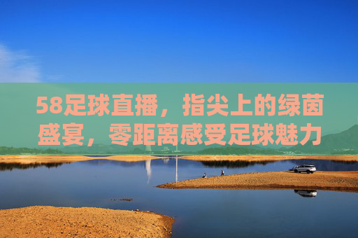 58足球直播，指尖上的绿茵盛宴，零距离感受足球魅力，58足球直播，指尖上的绿茵盛宴，零距离感受足球魅力