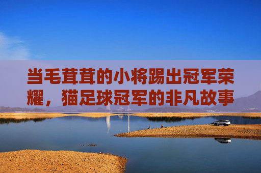 当毛茸茸的小将踢出冠军荣耀，猫足球冠军的非凡故事，毛茸茸小将的冠军荣耀，猫足球冠军的非凡故事