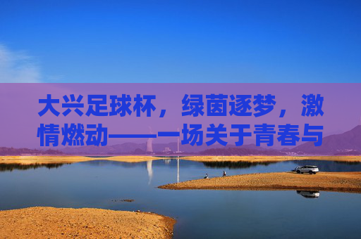 大兴足球杯，绿茵逐梦，激情燃动——一场关于青春与足球的盛会，大兴足球杯，绿茵逐梦，激情燃动——一场关于青春与足球的盛会