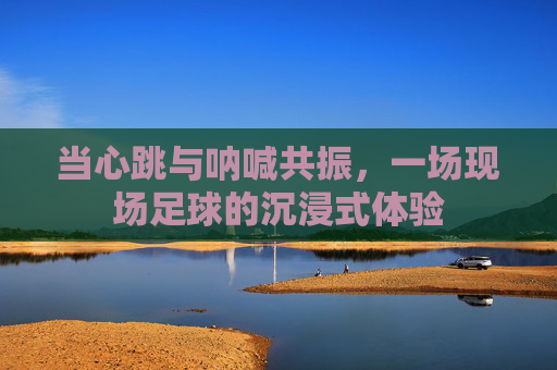 当心跳与呐喊共振，一场现场足球的沉浸式体验