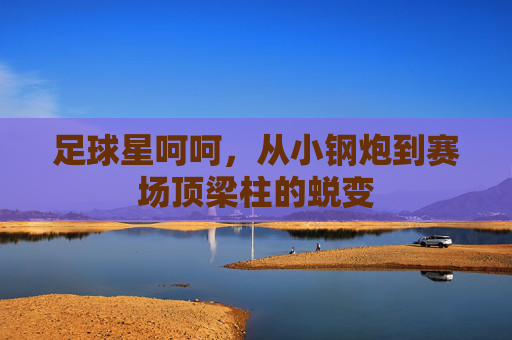 足球星呵呵，从小钢炮到赛场顶梁柱的蜕变