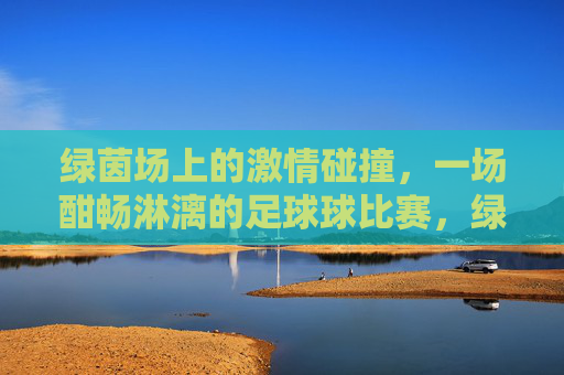 绿茵场上的激情碰撞，一场酣畅淋漓的足球球比赛，绿茵场上的激情碰撞，一场酣畅淋漓的足球对决