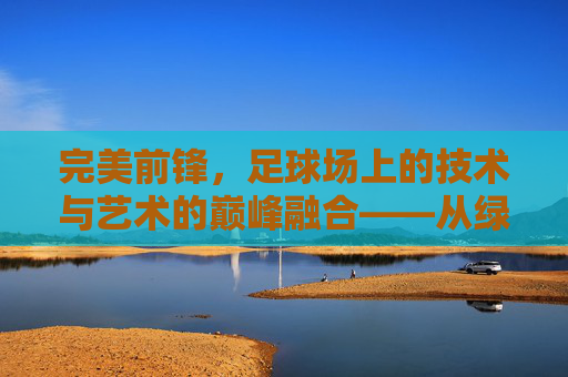 完美前锋，足球场上的技术与艺术的巅峰融合——从绿茵的奔跑到进球的永恒瞬间，完美前锋，足球场上的技术与艺术的巅峰融合——从绿茵的奔跑到进球的永恒瞬间