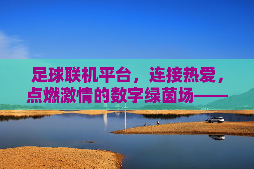 足球联机平台，连接热爱，点燃激情的数字绿茵场——数字时代下的足球体验新范式