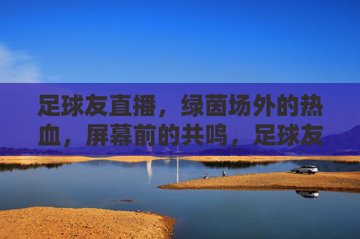 足球友直播，绿茵场外的热血，屏幕前的共鸣，足球友直播，绿茵场外的热血与屏幕前的共鸣