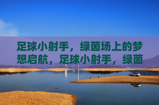足球小射手,绿茵场上的梦想启航,足球小射手,绿茵场上的梦想启航