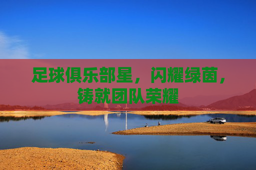 足球俱乐部星，闪耀绿茵，铸就团队荣耀