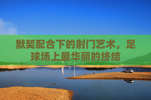 默契配合下的射门艺术，足球场上最华丽的终结