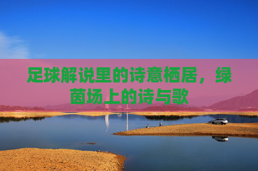足球解说里的诗意栖居，绿茵场上的诗与歌