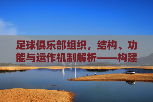 足球俱乐部组织，结构、功能与运作机制解析——构建职业足球的动力引擎，足球俱乐部组织、结构、功能与运作机制解析——构建职业足球的动力引擎